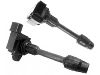Ignition Coil:22448-2Y005