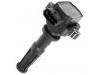 Ignition Coil:1 223 293