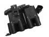 Ignition Coil:GF30102502