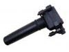 Ignition Coil:1-04609088AH