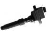 Ignition Coil:6529003-6002