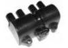 Ignition Coil:1208010