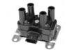 Ignition Coil:55229930
