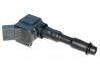 Ignition Coil:030 905 110 B